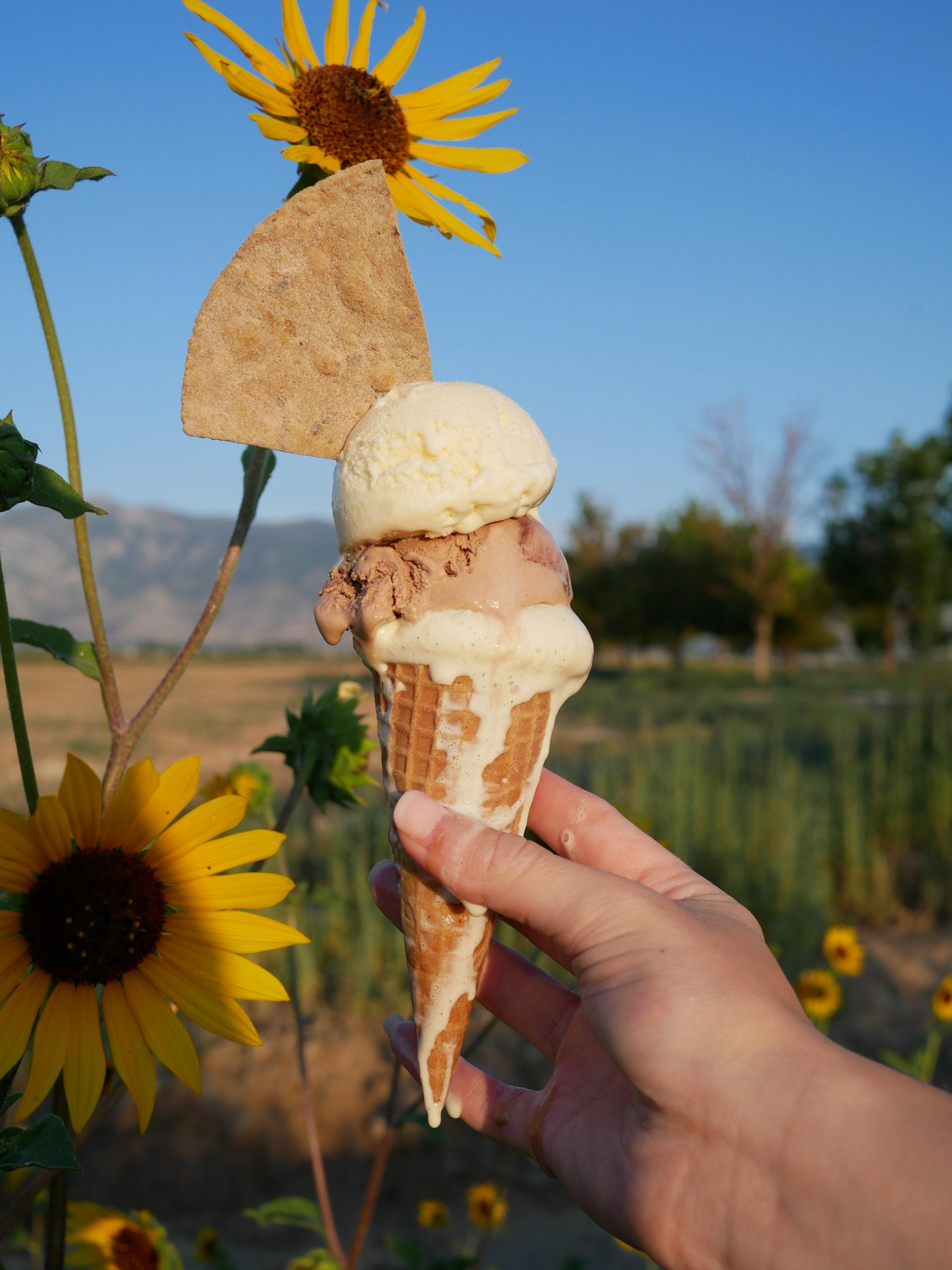 MASA x Ice Cream for Bears Collab T-Shirt